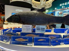 -千岛湖鱼味馆(十字街总店)
