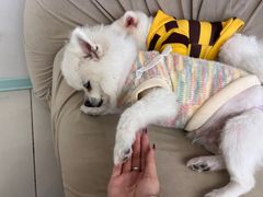 -怪兽屋·羊驼·猫咖·狗咖(俊华广场店)