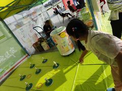 -武清南湖绿博园