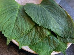 苏子叶-完美生活炭火烤肉(二马路店)