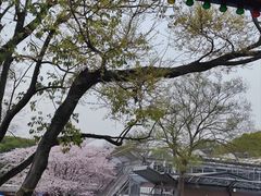 -无锡梅园公园