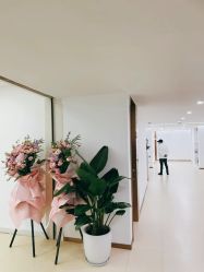 -成都西区医院整形美容