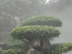-檀园