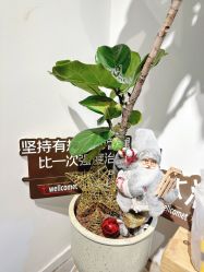 -唯奈斯肌肤管理中心