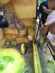 -未来动物城主题公园(正弘城店)