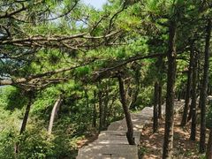 -九华山风景区