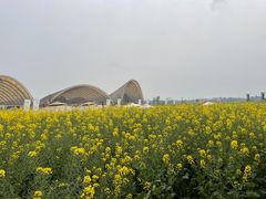 -中国天府农业博览园