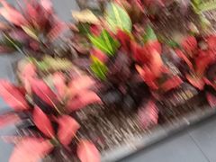 -阿伟海鲜楼·福建菜(涵江店)