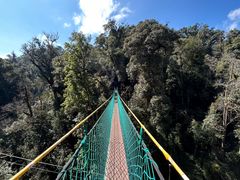 -云南屏边大围山国家公园