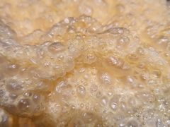 -南门四季铜锅涮肉(大屯·北苑店)