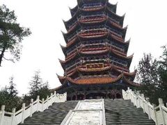 -铁山坪森林公园