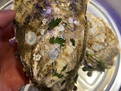 -千岛蚝高压锅生蚝·人参火锅(白云万达店)