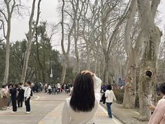 -武汉大学-樱园