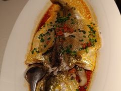 豆豉清蒸大黄鱼-维园悦谱·海派家常菜(乌鲁木齐南路店)