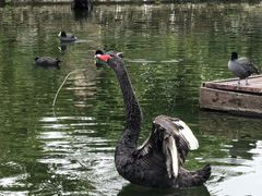 -海南热带野生动植物园