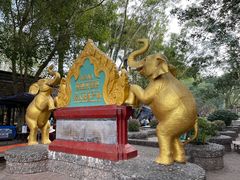 -西双版纳傣族园