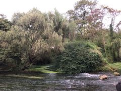 -贵阳市花溪国家城市湿地公园