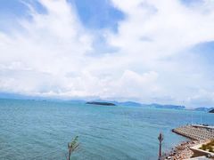 -七鲜渔港美食餐厅(巽寮湾海景店)
