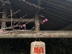 -MOJ coffee(瓯海泽雅水碓坑店)