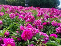 -长春世界雕塑园冰雪艺术天地