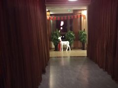 -天目湖御水温泉·度假酒店