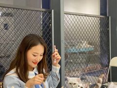 -怪兽屋·羊驼·猫咖·狗咖(俊华广场店)