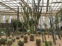 -石家庄市植物园