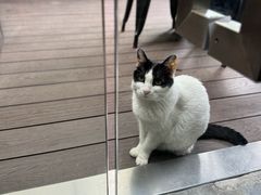 -旧天堂书店(华侨城创意文化园南山特色文化街区店)