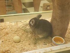 -龙猫仔乐园(惠福东路店)