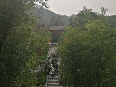-黄金寨原生态旅游区