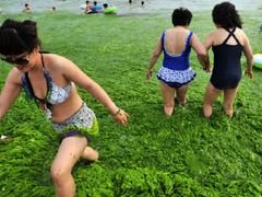 -那香海钻石沙滩浴场