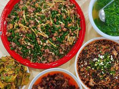 -东吴霸王兔(松青路店)
