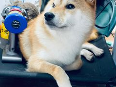 -About Bistro關於·泰式家庭料理