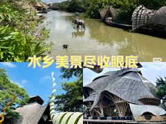 -南沙水鸟世界生态园
