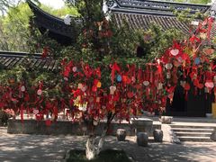 -善卷洞风景区