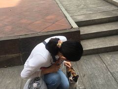 -碧江金楼