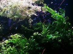 -上海海洋水族馆