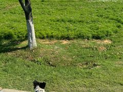 -联合动物医院(光谷诊疗中心)