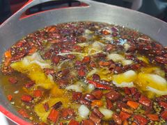 -雲蜀龙阁·金牌水煮鱼(方庄店)