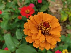 -永定河休闲森林公园