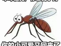 -大国药妆(NEW心斎橋店)