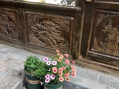 -阿鹏故事云南野生菌火锅(人民路店)