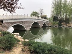 -大兴滨河森林公园