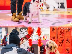 -龙湖成都上城天街