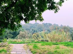 -张坝桂圆林公园