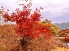 -周口店坡峰岭风景区