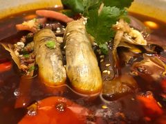 -梦都海鲜酒家(万达广场江桥店)