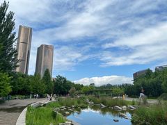 -大望京公园