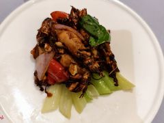 酱爆鱿鱼筒-79号渔船海鲜饭店(宝安店)