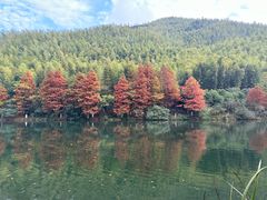 -高老庄·老溧阳·私房菜(南山竹海店)